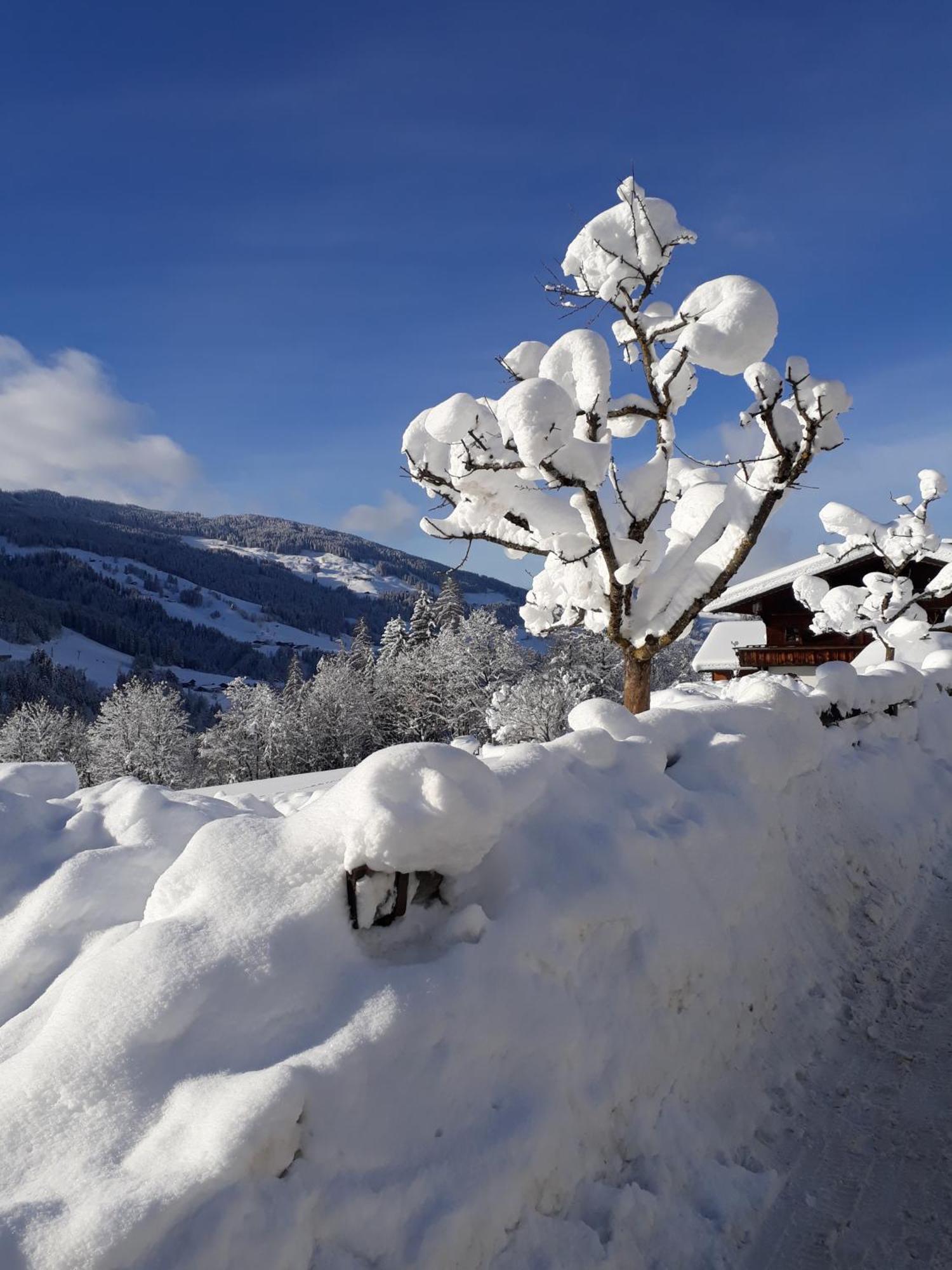 Hotel Haus Gmahblick Ferienwonungen à Alpbach Extérieur photo